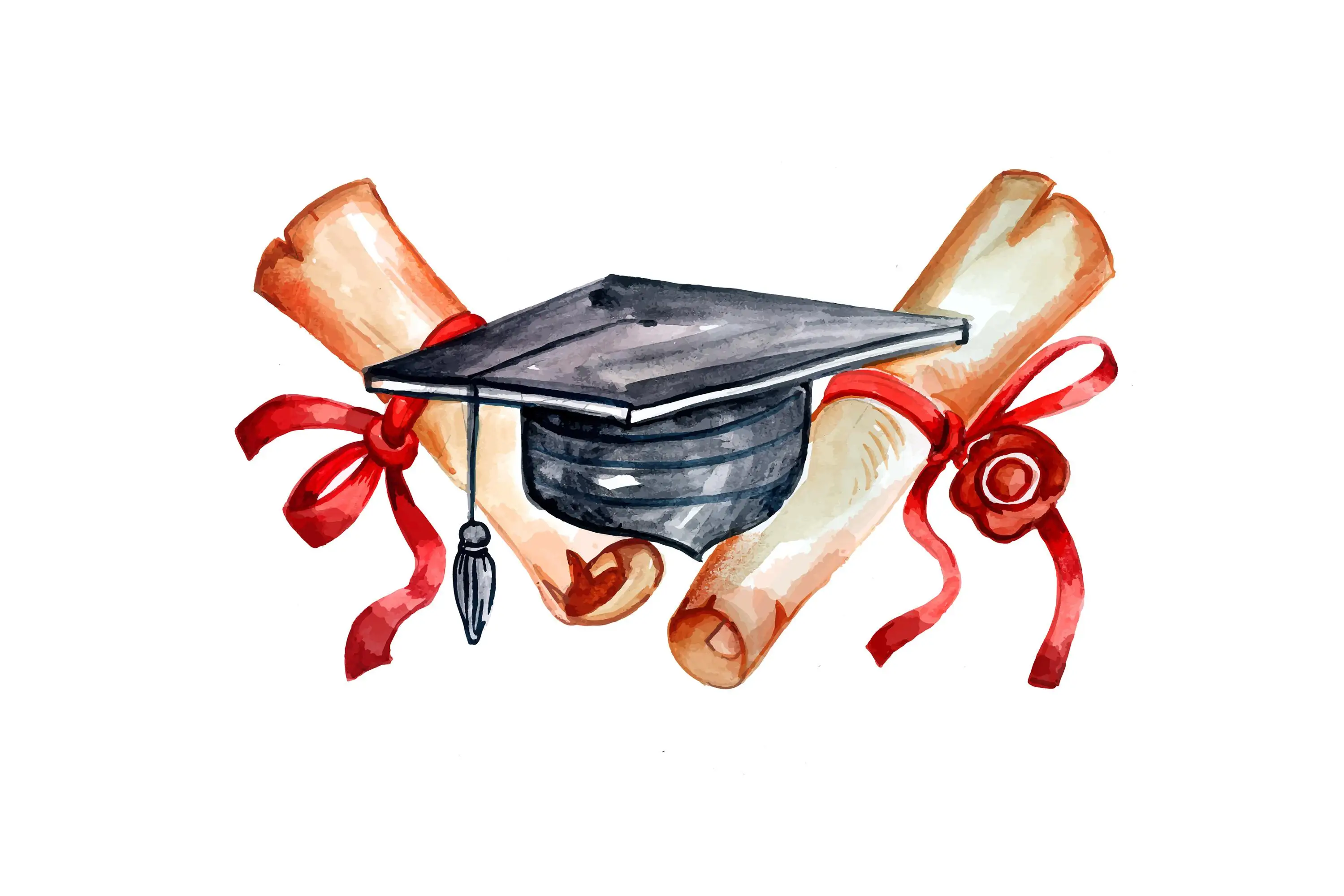 demacs - laurea 2